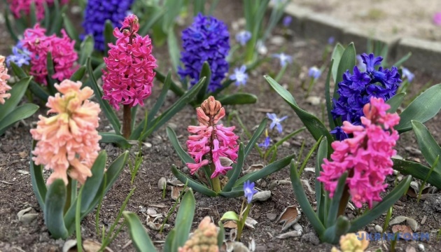 В Україні тиждень почнеться без опадів, удень до +23°