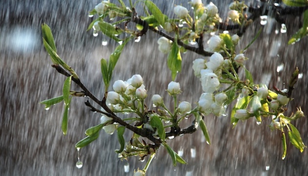 В Україні у середу прогнозують до +20°, подекуди дощ і сильний вітер