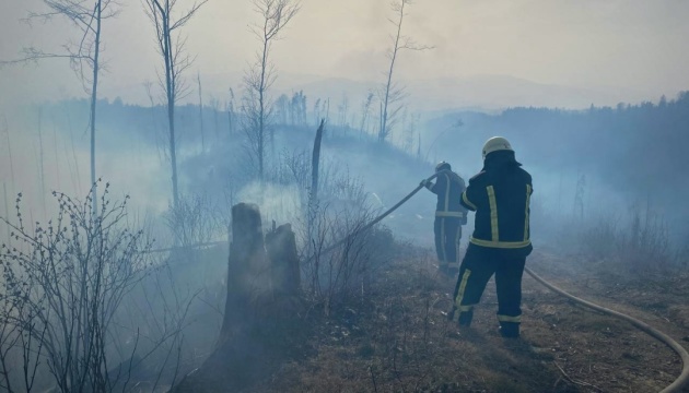 За три місяці в Україні сталося вдвічі більше пожеж в екосистемах ніж роком раніше - ДСНС