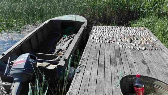 Завдали шкоди державі на ₴5 мільйонів - на Полтавщині поліція затримала рибалок-браконьєрів