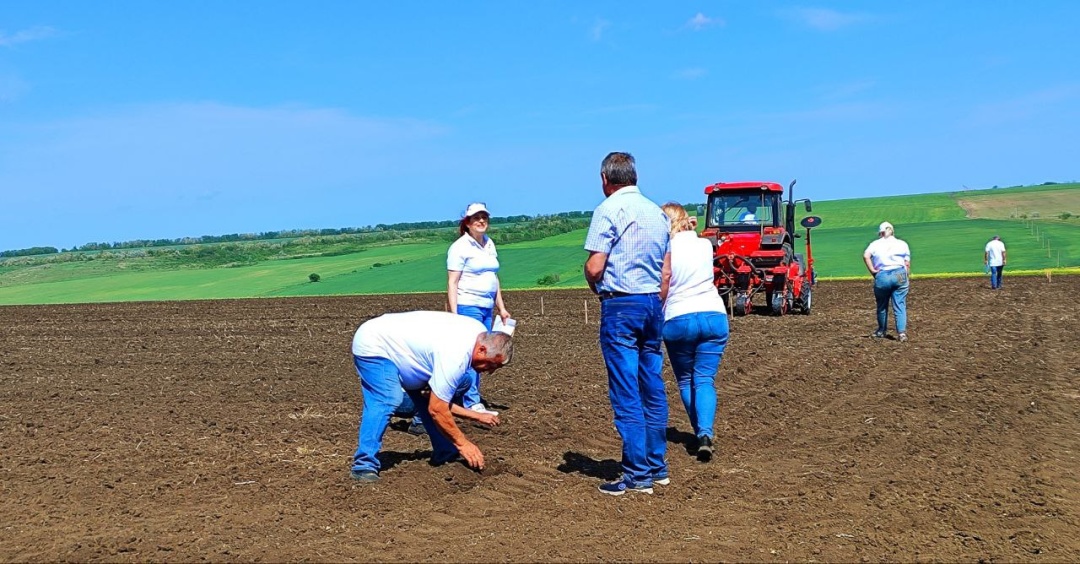 na odeshhini zasijali eksperimentalni polja bavovni 95470e0