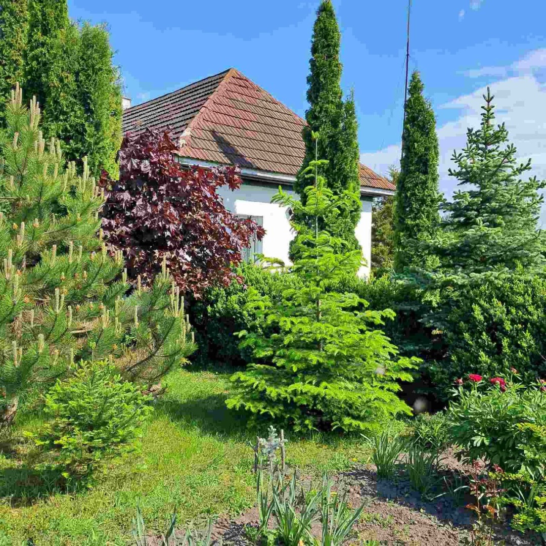 pamjati direktora menskogo krayeznavchogo muzeju vitalija krutogo 4ccebb6