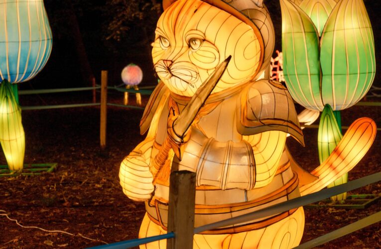 У Чернівцях незахищені громадяни зможуть безкоштовно відвідати парк світлових фігур