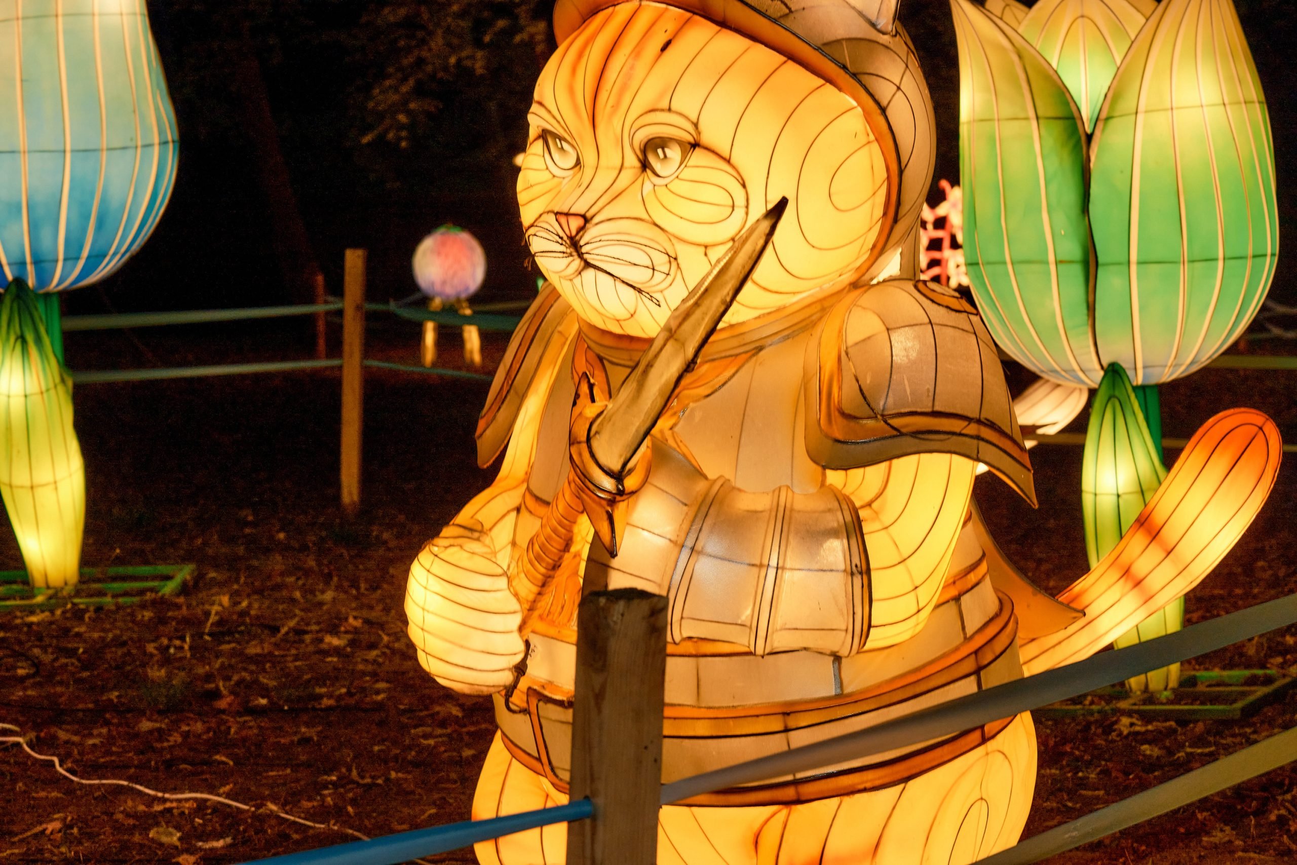 У Чернівцях незахищені громадяни зможуть безкоштовно відвідати парк світлових фігур