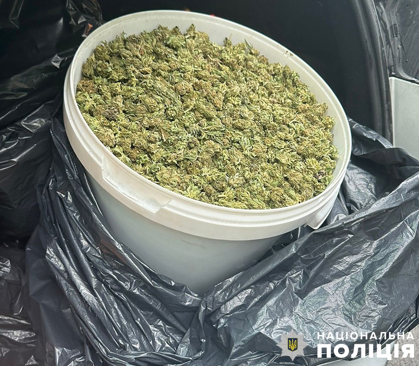 u kiyevi zatrimali ozbroyenogo narkodilera pid chas zbutu 10 kilogramiv kanabisu 70c014c