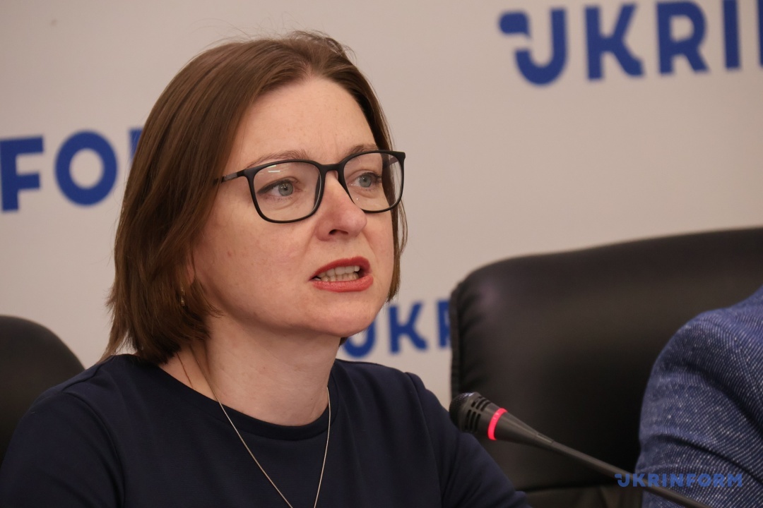 ukrayinska vlada ye povnistju legitimna a sumnivi zakidajut vorozhi ipso eksperti d05063a