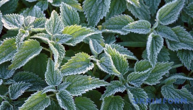 В Україні переважно без опадів, подекуди заморозки