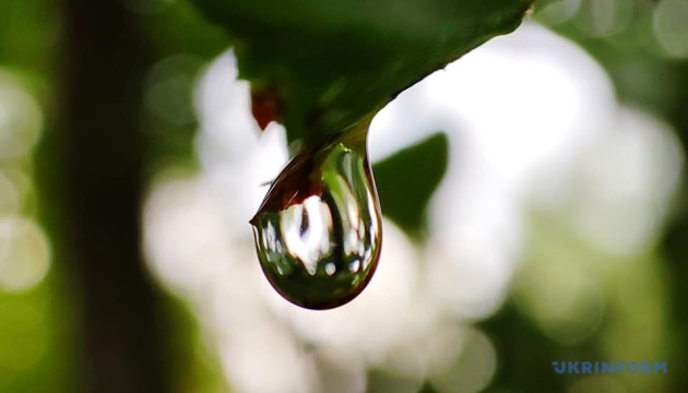 В Україні у понеділок до +14°, подекуди - невеликий дощ