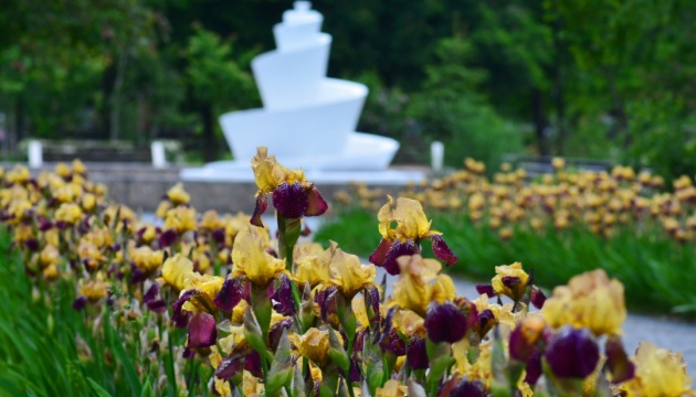 В Україні збережеться суха і прохолодна погода