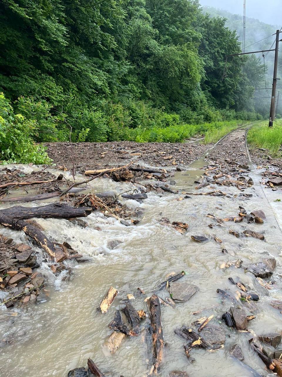 na zakarpatti selevij potik zijshov na zaliznichnu koliju c6d5a52