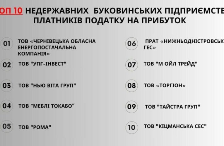 Назвали найбільших платників податків на Буковині з початку 2024 року