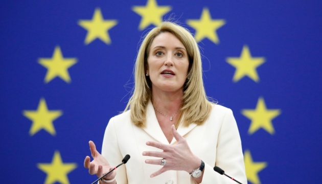 Новий склад Європарламенту продовжить підтримку України - Мецола