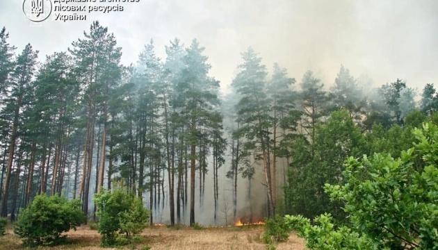 Рятувальники локалізували масштабну лісову пожежу на Харківщині