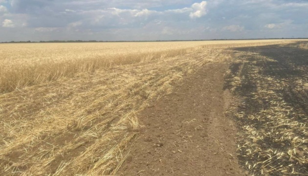 Унаслідок ворожого обстрілу на Херсонщині знищені 25 гектарів озимої пшениці