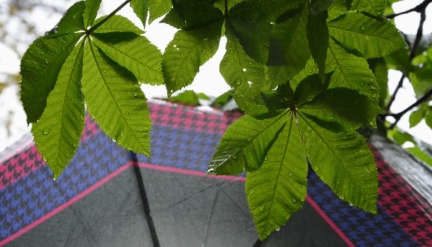 В Україні переважно дощі та грози, вдень до +30°