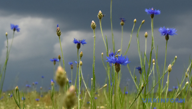 В Україні у перші дні літа очікується спека з дощами і грозами