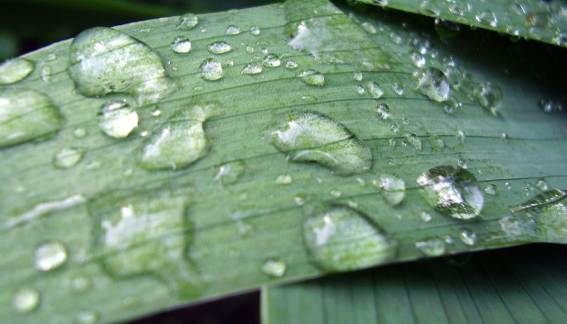 В Україні у понеділок дощитиме, вдень спека до 33°