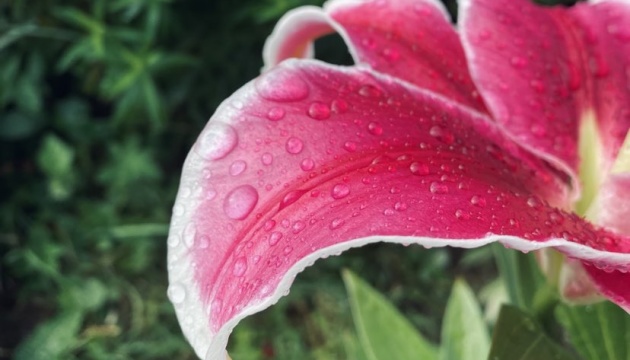 В Україні завтра до +28°, подекуди дощі та грози