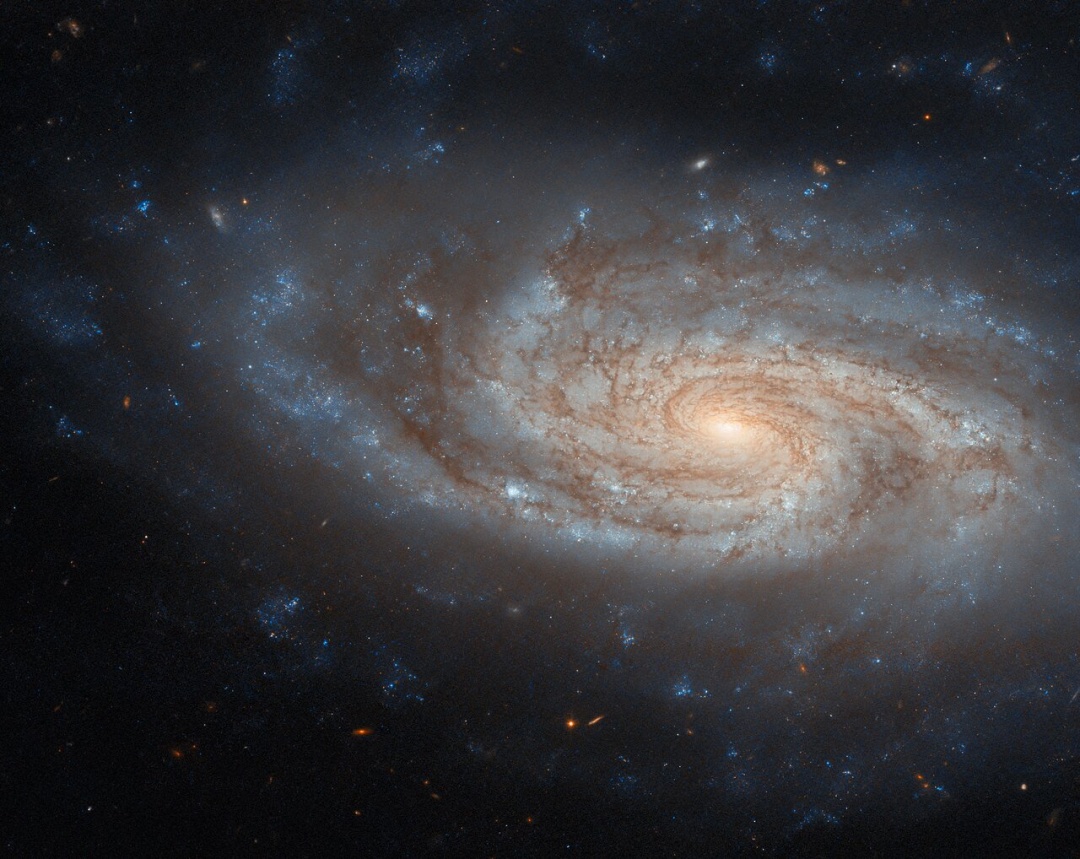 hubble pokazav spiralnu galaktiku v suziryi malogo leva 59c7099