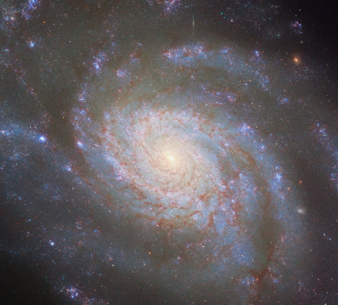 hubble sfotografuvav jaskravu galaktiku v suziryi leva 3f46de0