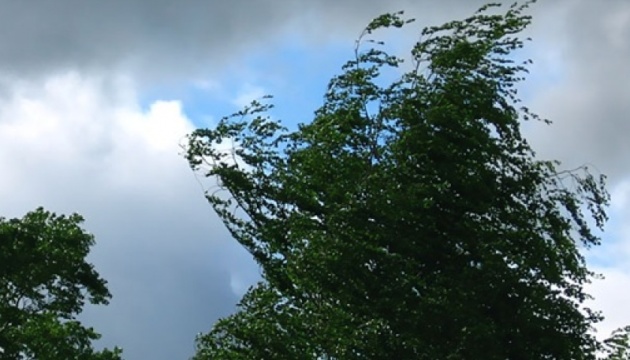 Киян попередили про сильний вітер