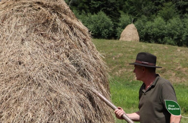 На Буковині лісівники створюють запаси кормів для підгодівлі диких тварин взимку