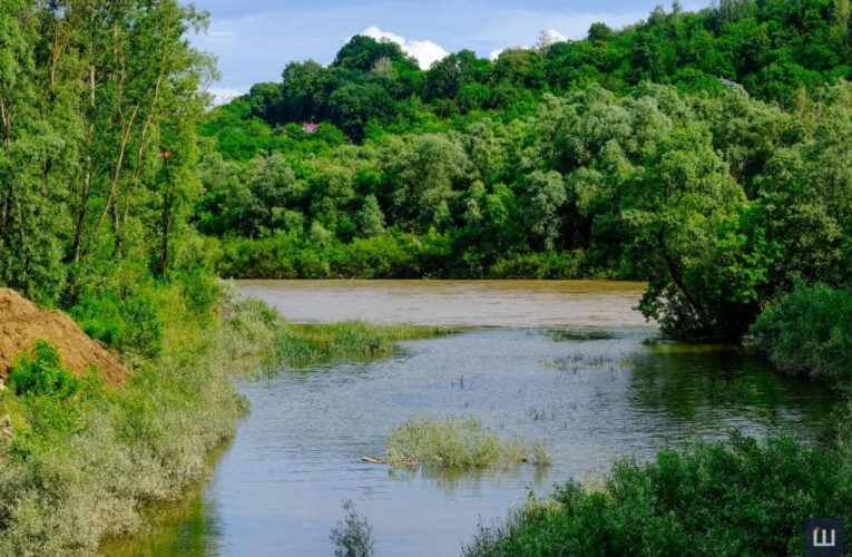 На Буковині з початку року вода забрала 12 життів
