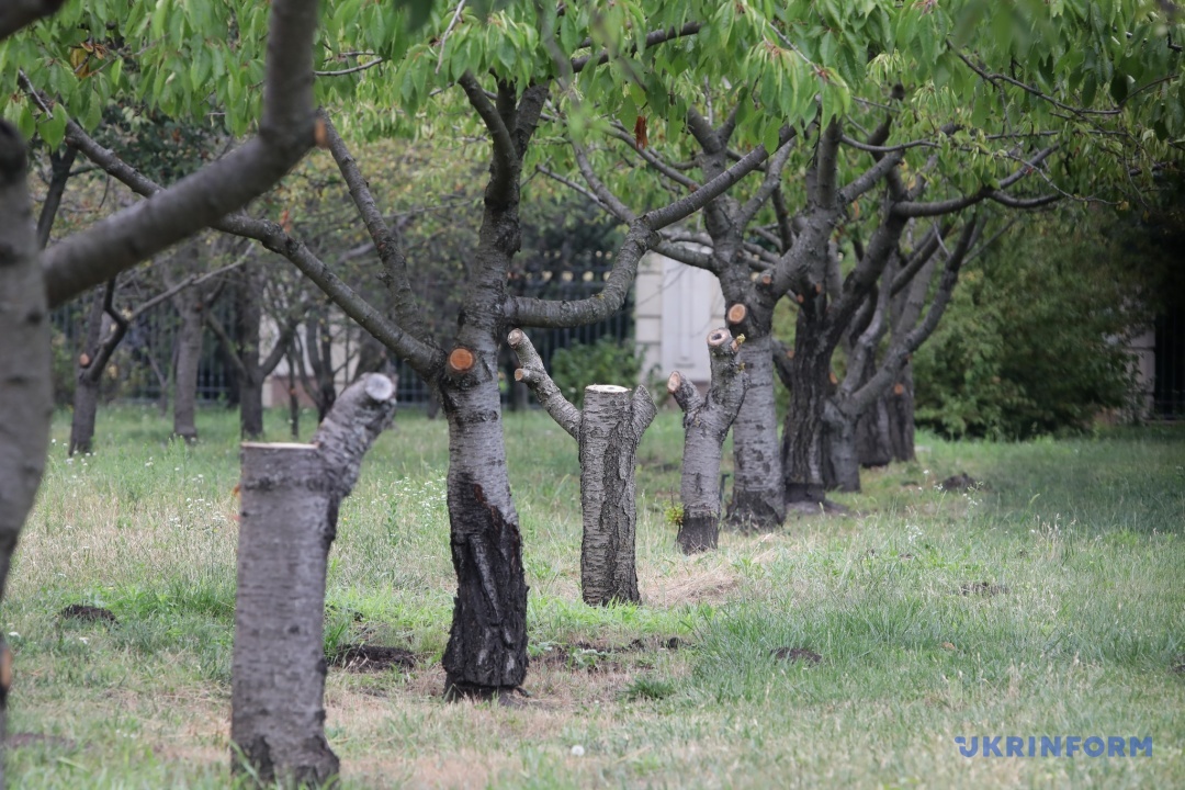 park pamʼjatka mezhigirʼja vidnovljuye prijom vidviduvachiv 485a243