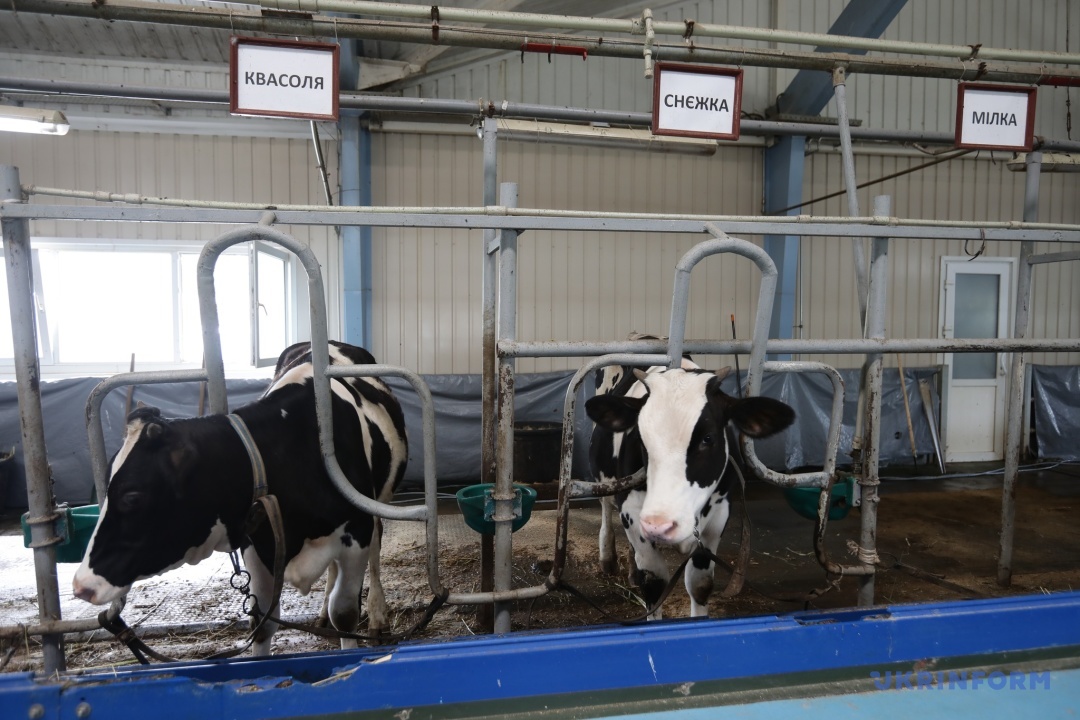 park pamʼjatka mezhigirʼja vidnovljuye prijom vidviduvachiv 56436b1