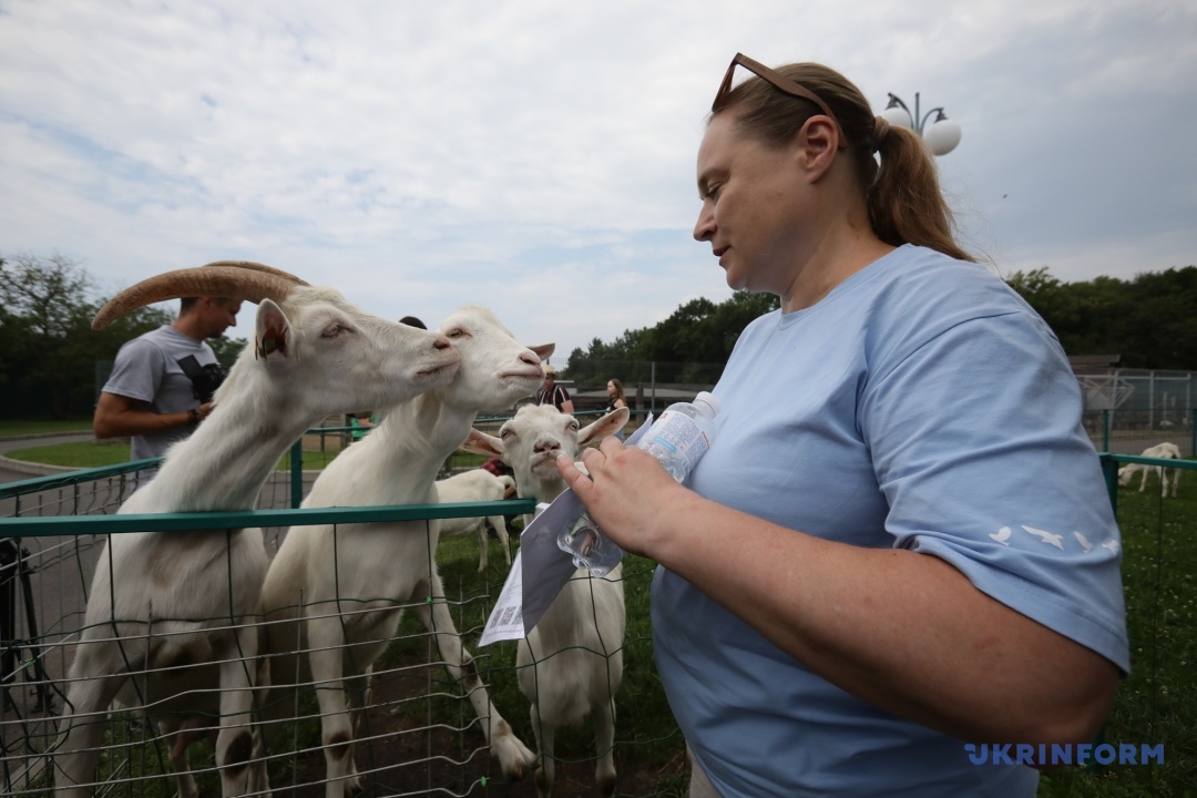 park pamʼjatka mezhigirʼja vidnovljuye prijom vidviduvachiv 788134a