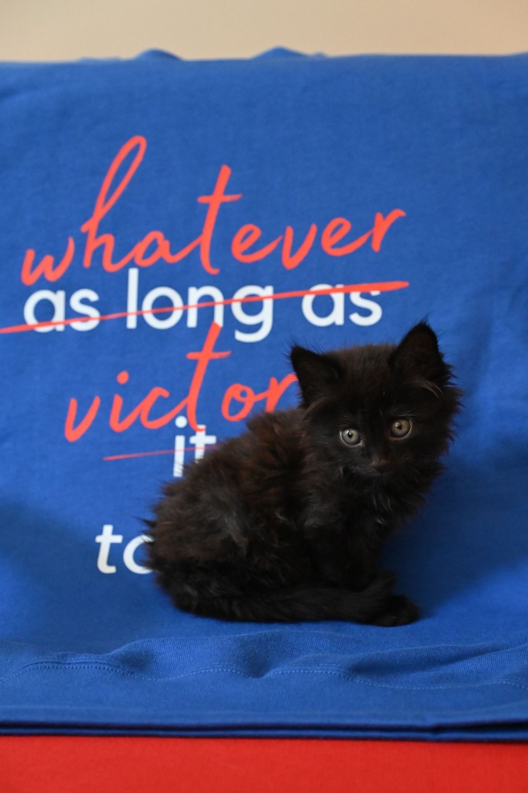 u mzs litvi prijnjali na robotu koshenja 2a89d92