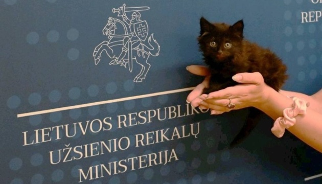У МЗС Литви прийняли на роботу кошеня