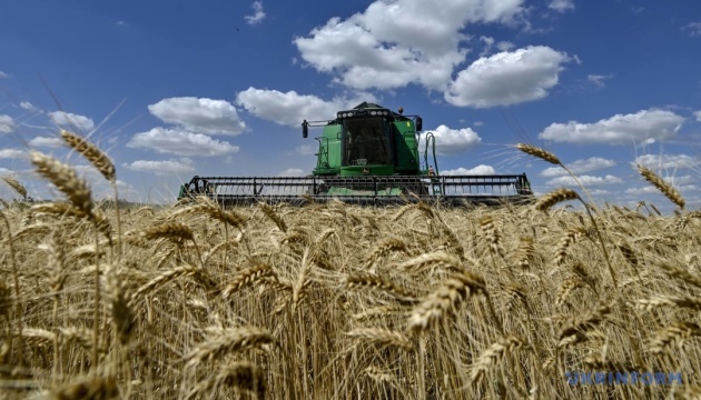 В Україні зібрали половину ранніх зернових - цьогоріч врожай очікують на рівні 27 мільйонів тонн
