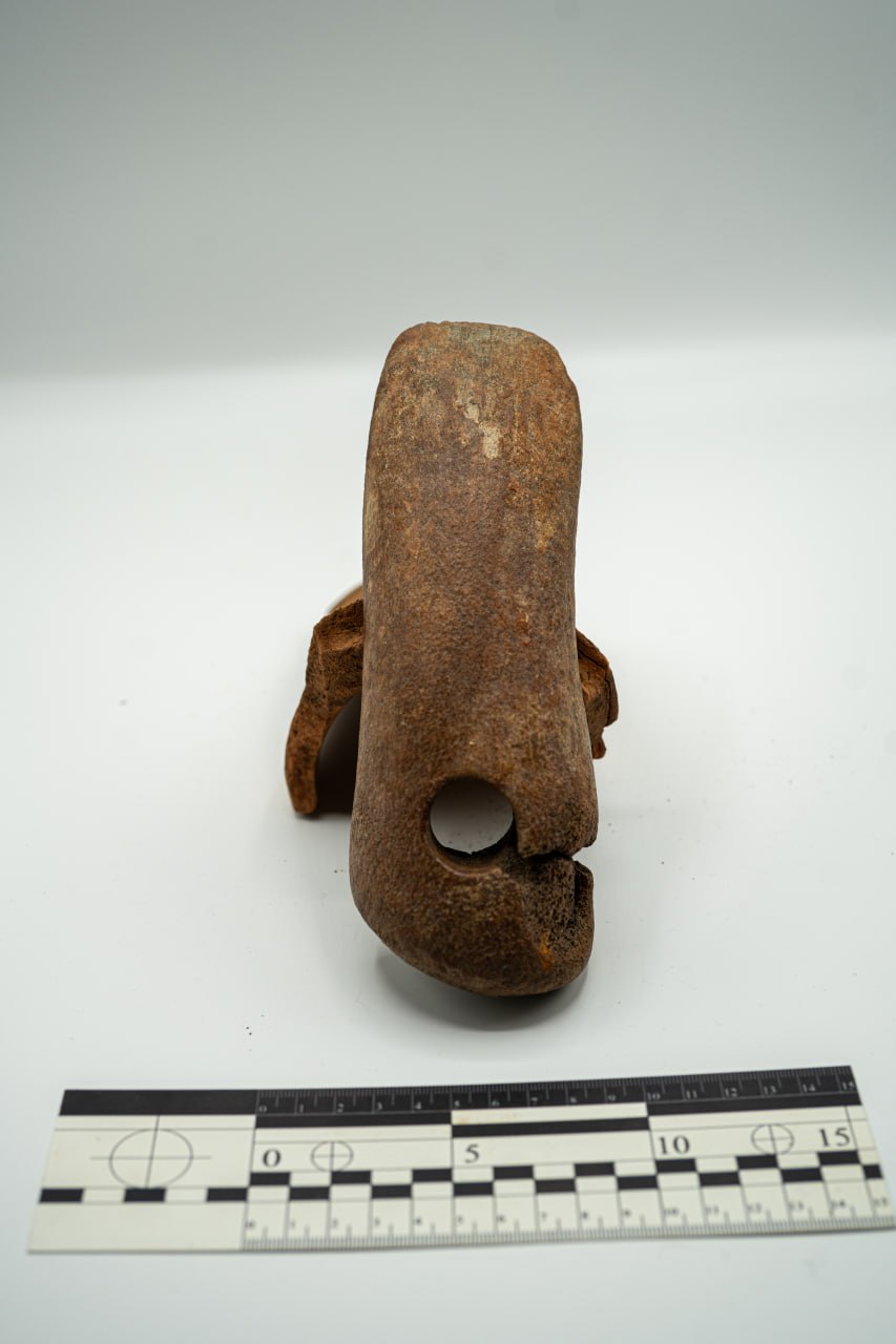 v urochishhi u zaporizhzhi znajshli motiku jakij kilka tisjach rokiv 7d7ece6