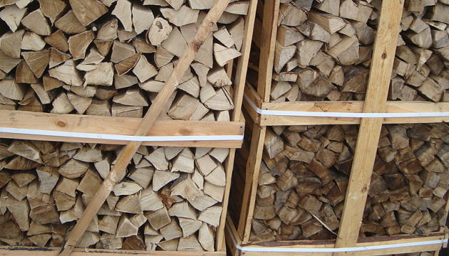 Жителям прифронтових територій дозволять самостійно заготовляти дрова на зиму - Шмигаль