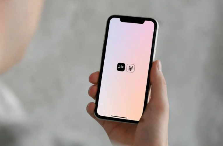 Дозвіл на зброю і сервіси для бізнесу: в Дії з’являться нові послуги