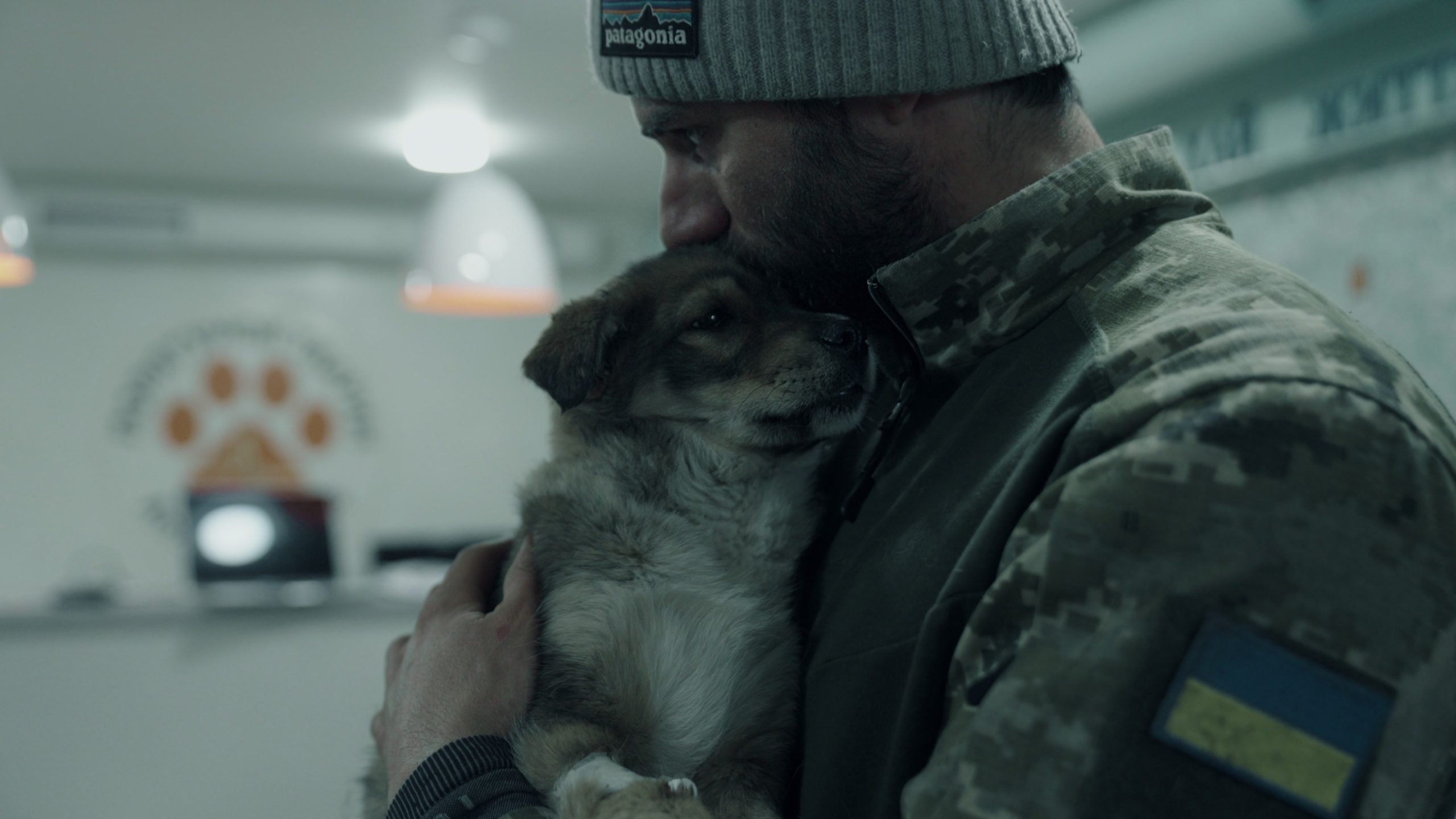 Яким буде фільм «Заручники війни» про тварин, що постраждали від війни: інтерв’ю з продюсеркою Златою Єфіменко 11 Яким буде фільм «Заручники війни» про тварин, що постраждали від війни: інтерв'ю з продюсеркою Златою Єфіменко