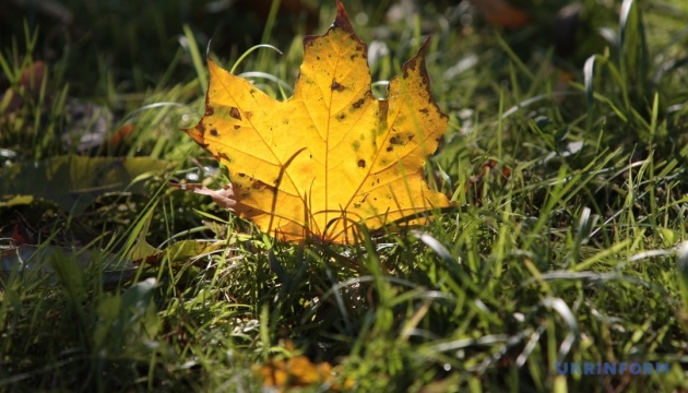 Сьогодні в Україні потеплішає до +17°