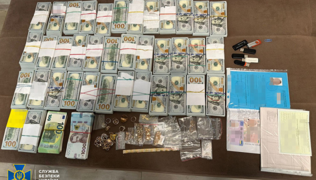 У керівниці Миколаївської МСЕК виявили понад $450 тисяч і російський паспорт її сина