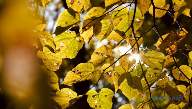 В Україні переважно без опадів, вдень до +17°