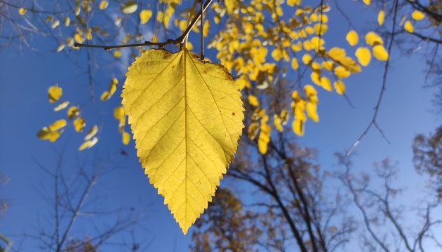 В Україні завтра переважно без опадів, вдень до +24°