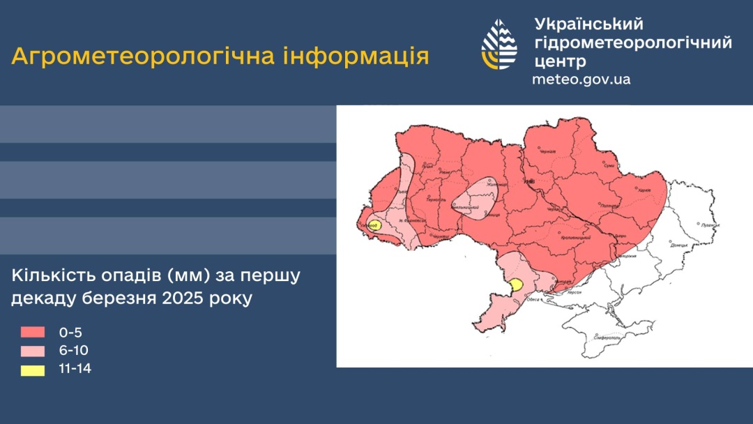 perezimivlja ozimih kultur v ukrayini zavershilasja zadovilno meteorologi 2298538