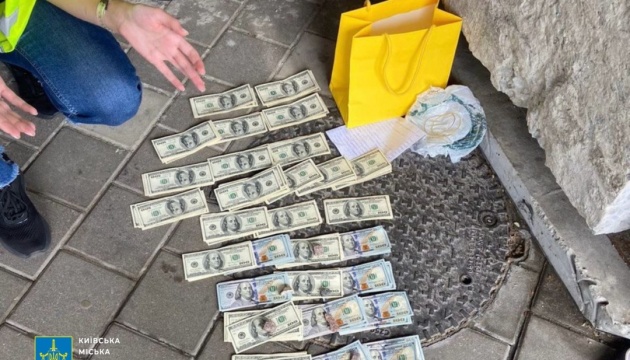 Ексдепутатку судитимуть за організацію оборудок зі встановлення інвалідності