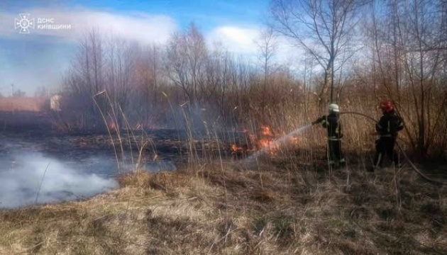 На Київщині внаслідок пожеж через спалювання трави загинули двоє людей