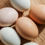 kanada dozvolila importuvati jajcja z ukrayini 068d226