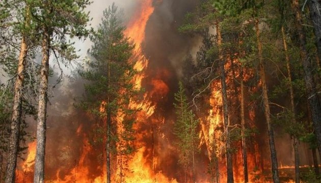 Канадська провінція оголосила надзвичайний стан через лісові пожежі