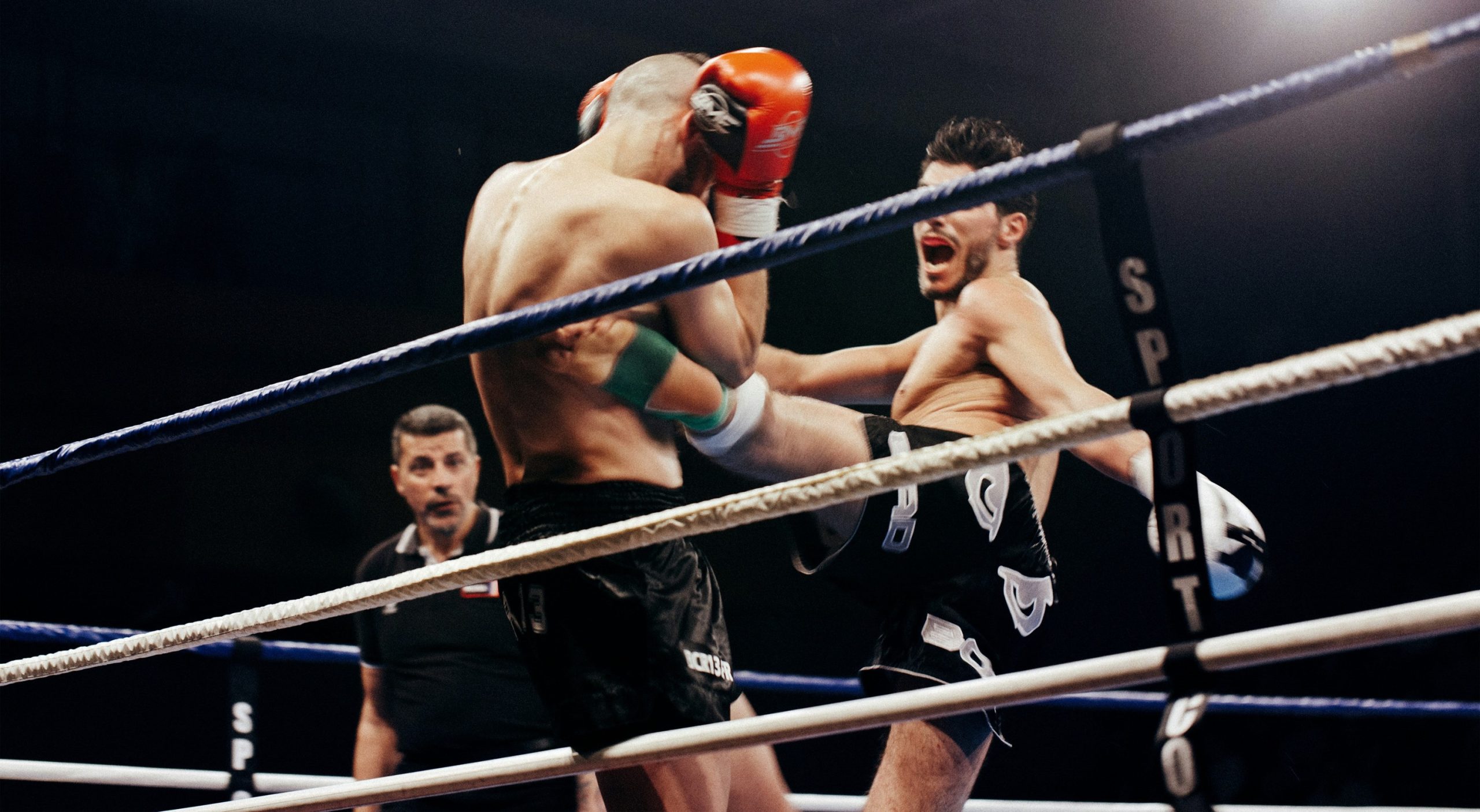 kikbokseri z bukovini zdobuli zoloto na chempionati ukrayini e2aaa4e