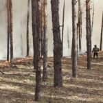 na harkivshhini vnaslidok rosijskih artobstriliv vinikli masshtabni lisovi pozhezhi 13ae946