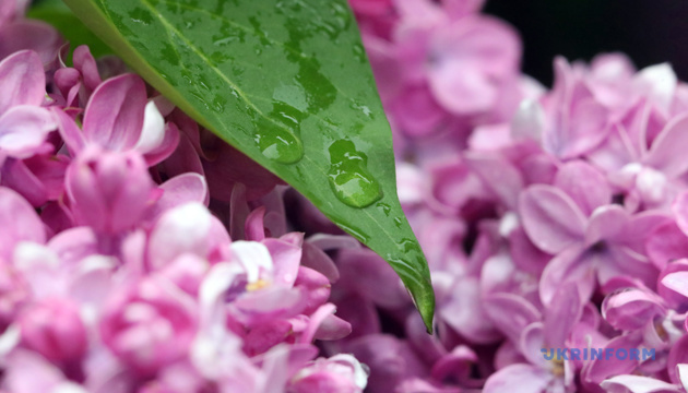 Сьогодні в Україні невеликі дощі, вдень до +17°