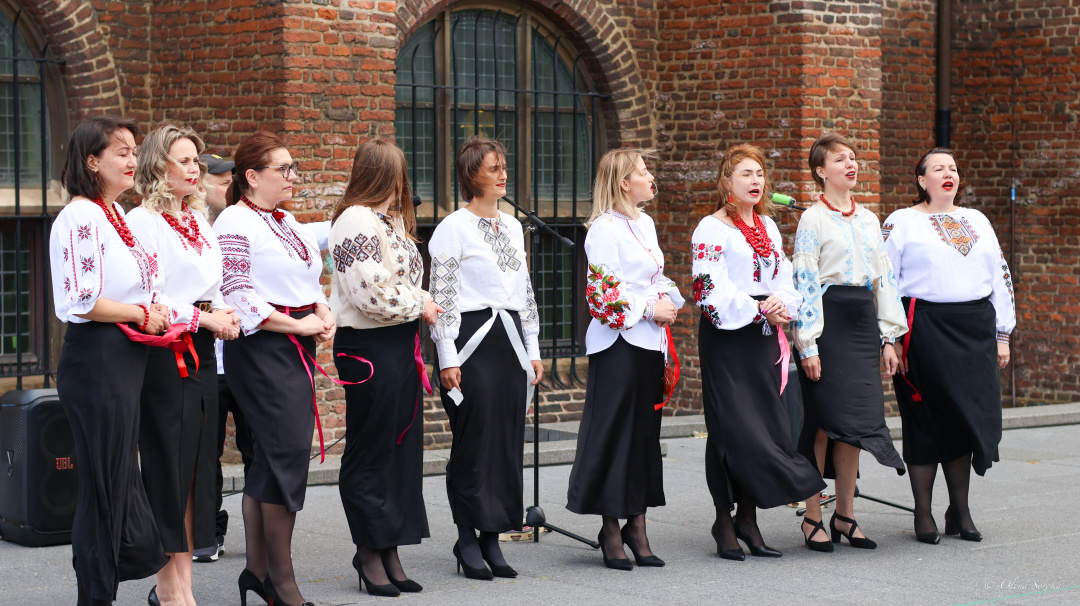 u niderlandah vidbuvsja svjatkovij zahid z nagodi dnja vishivanki ecdc083